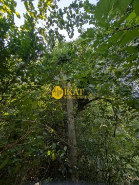 Sale, land lot, 1200m², Mislodjin, Obrenovac - image 6