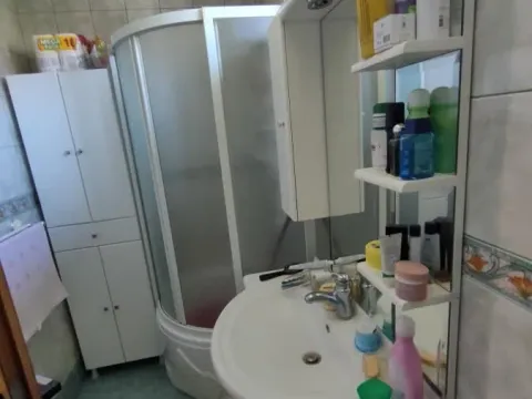 Izdavanje, kuća, 330m², Sremska Kamenica, Petrovaradin - image 14