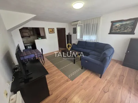 Izdavanje, jednosoban stan, 45m², Zagorič, Podgorica