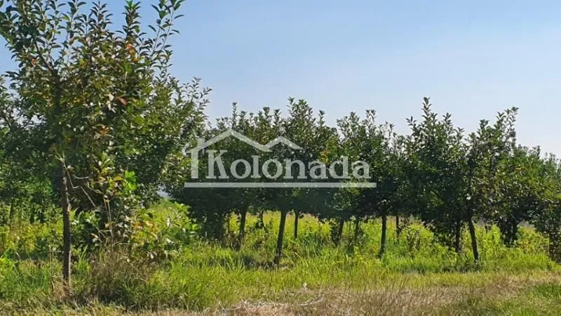 Sale, land lot, 13400m², Djurinci, Sopot