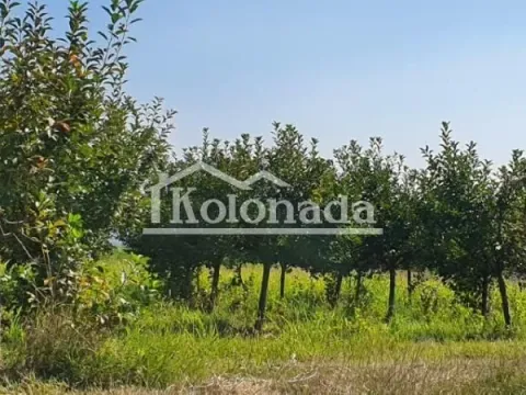 Sale, land lot, 13400m², Djurinci, Sopot - image 7