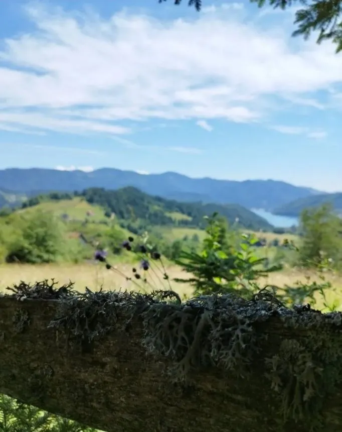 Sale, land lot, 500m², Tara, Srbija