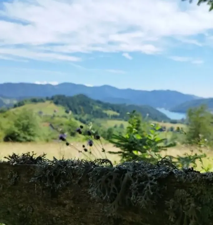 Sale, land lot, 500m², Tara, Srbija