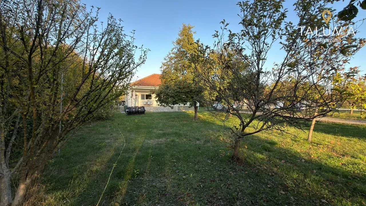 Pogled na zeleno dvorište i kuću sa drvećem.