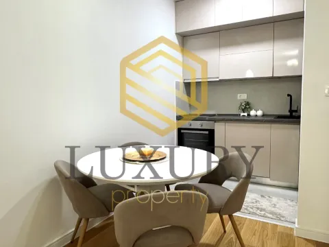 Izdavanje, jednosoban stan, 47m², Central Point, Podgorica - image 10