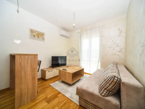 Izdavanje, stan, 25m², Zabjelo, Podgorica - image 2