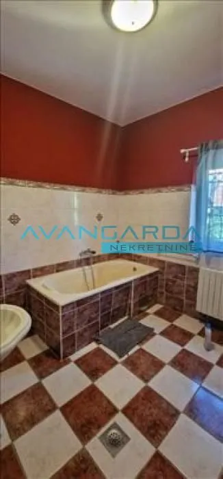 Izdavanje, četvorosoban stan, 210m², Višnjička Banja, Palilula Sve Podlokacije
