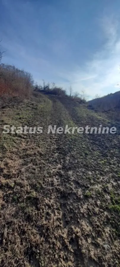 Prodaja, plac, 13011m², Beočin, Srbija