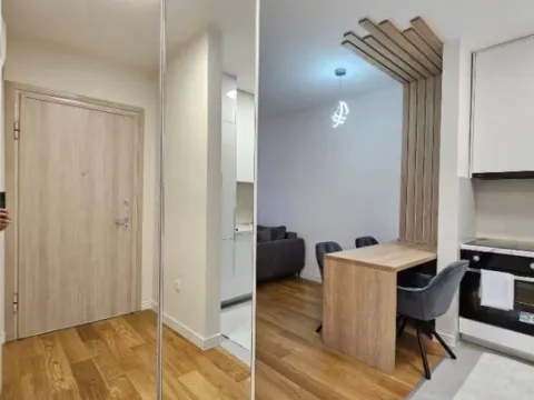 Izdavanje, jednosoban stan, 43m², Central Point, Podgorica - image 3