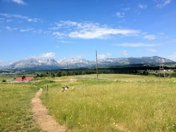 Prodaja, plac, 56149m², Žabljak, Crna Gora