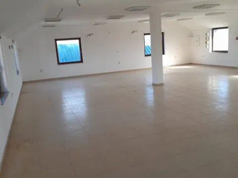 Sale, office space, 860m², Veternik, Novi Sad Sve Podlokacije - image 6