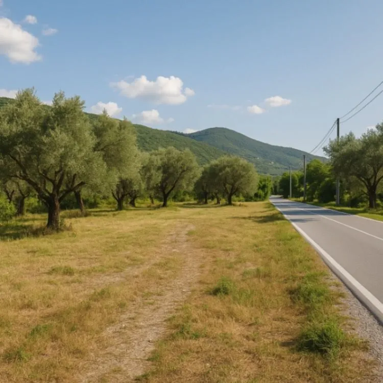 Prodaja, plac, 3100m², Herceg Novi, Crna Gora