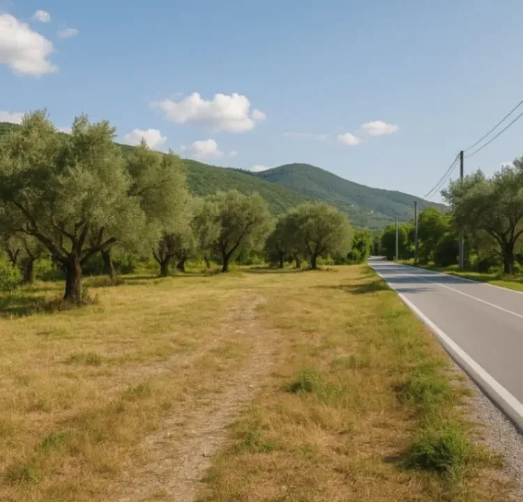 Prodaja, plac, 3100m², Herceg Novi, Crna Gora