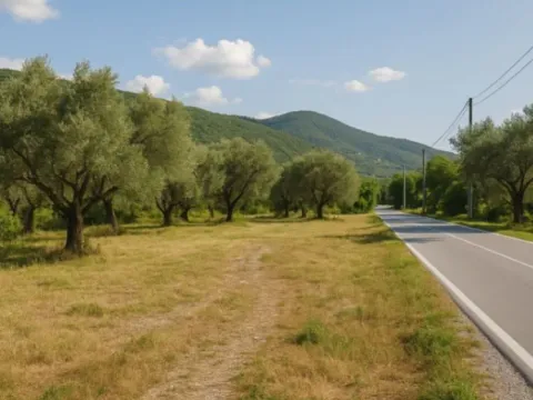 Prodaja, plac, 3100m², Herceg Novi, Crna Gora