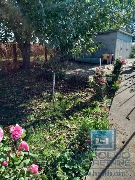 Prodaja, plac, 1331m², Kupusara, Jagodina