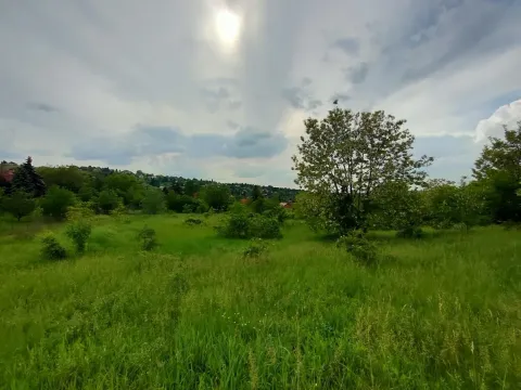 Sale, land lot, 5000m², Ledinci, Petrovaradin - image 3