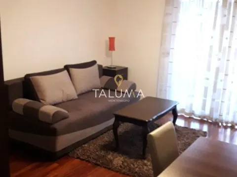 Izdavanje, jednosoban stan, 31m², City Kvart, Podgorica - image 2