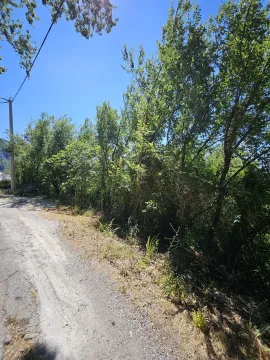 Prodaja, plac, 938m², Petrovac, Budva - image 4