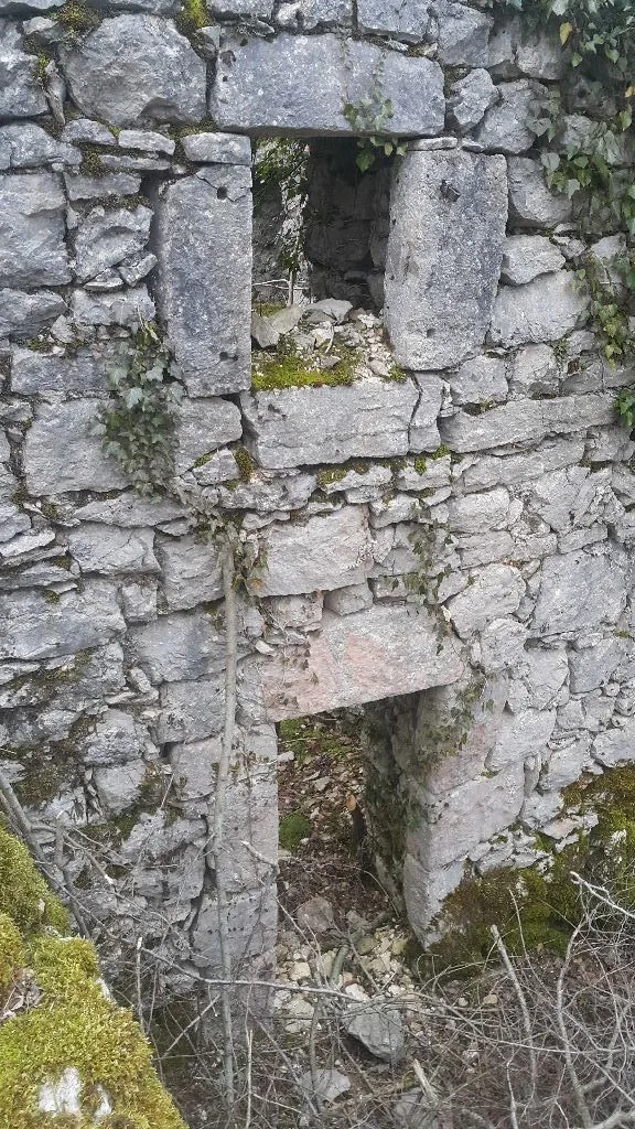 Stari kameni zid u ruševnom stanju obrasao rastinjem.