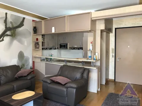 Rent, one bedroom apartment, 55m², Rozino, Budva - image 4