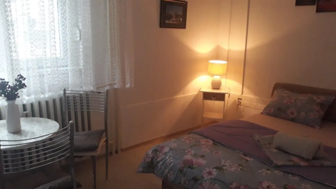 Stan-na-dan, jednosoban stan, 25m², Vrbas, Novi Sad