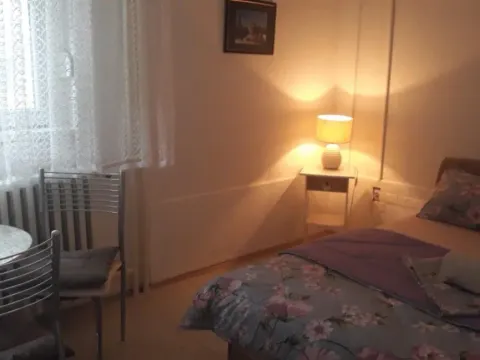 Stan-na-dan, garsonjera, 25m², Vrbas, Novi Sad - image 5