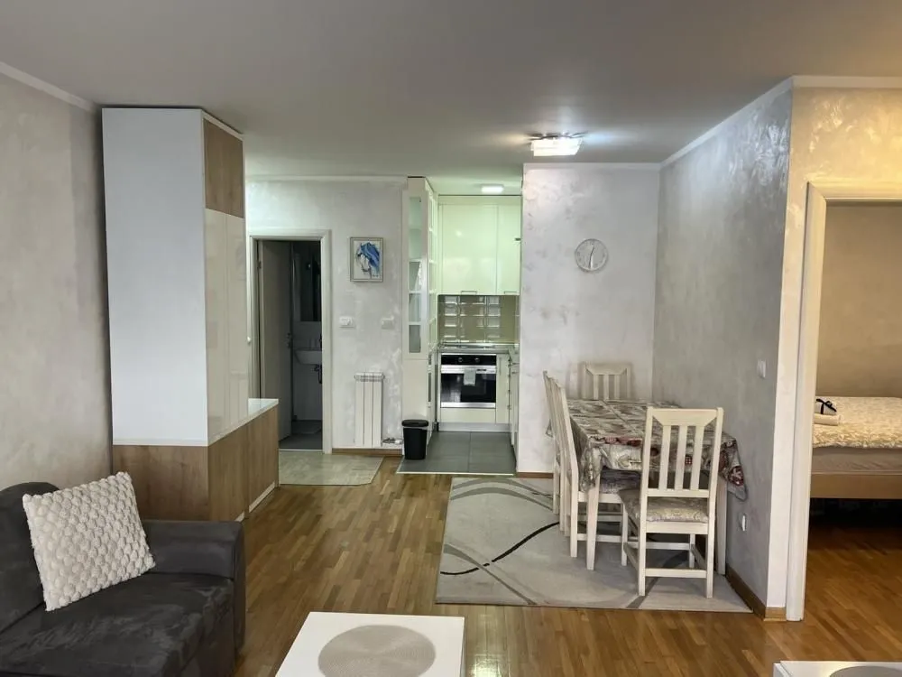Izdavanje, dvosoban stan, 60m², Južni Bulevar, Vračar Sve Podlokacije
