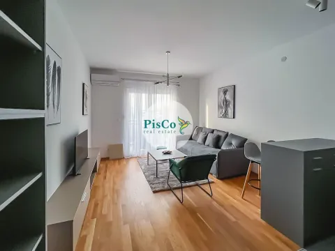 Izdavanje, stan, 30m², Ljubović, Podgorica - image 3