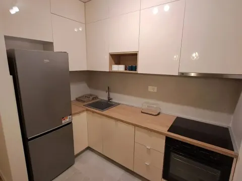 Izdavanje, jednosoban stan, 49m², Central Point, Podgorica - image 6