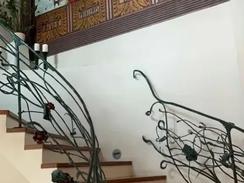 Izdavanje, kuća, 500m², Centar, Pančevo - image 7