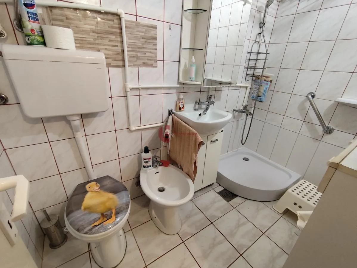 Manje kupatilo sa tuš kabinom, umivaonikom i WC šoljom.