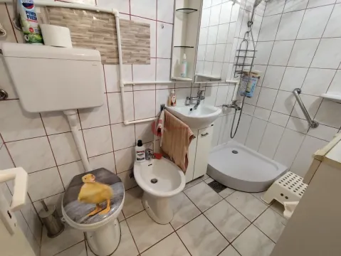 Manje kupatilo sa tuš kabinom, umivaonikom i WC šoljom. - image 9