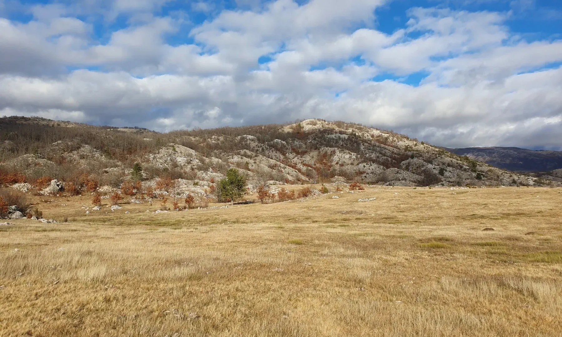 Prodaja, plac, 12774m², Plužine, Crna Gora
