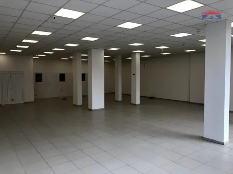 Poslovni prostor in Telep