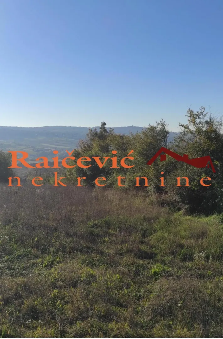 Pogled na prirodno okruženje i zelenilo sa placa.