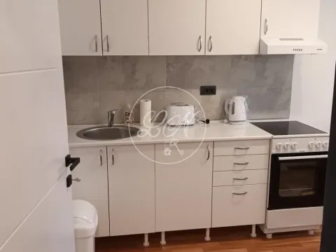 Izdavanje, dvosoban stan, 59m², Savski Venac, Beograd - image 4