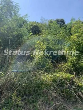 Pogled na zarasli plac sa rastinjem i drvećem. - image 2