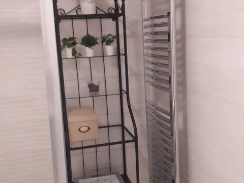 Izdavanje, dvosoban stan, 55m², Novi Beograd Blok 65, Novi Beograd Sve Podlokacije - image 11