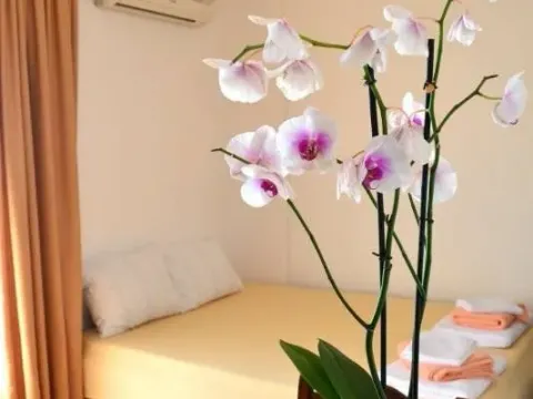 Rent, studio apartment, 30m², Petrovac, Budva - image 8