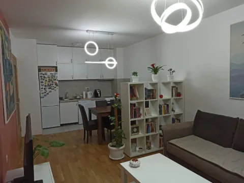 Prodaja, jednosoban stan, 45m², Stari Aerodrom, Podgorica - image 8