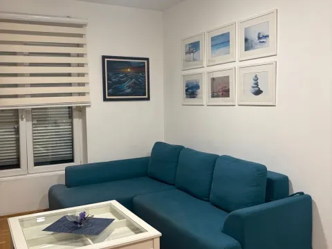 Rent, one bedroom apartment, 45m², Preko Morače, Podgorica - image 1