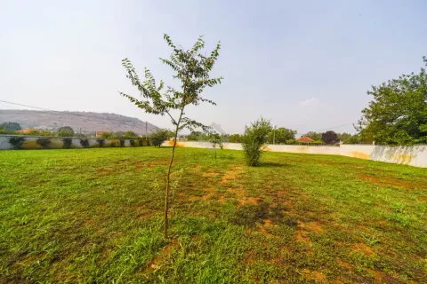 View of the spacious yard and lawn enclosed by a wall. - image 8
