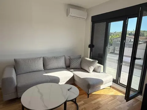 Rent, one bedroom apartment, 45m², Zagorič, Podgorica - image 1