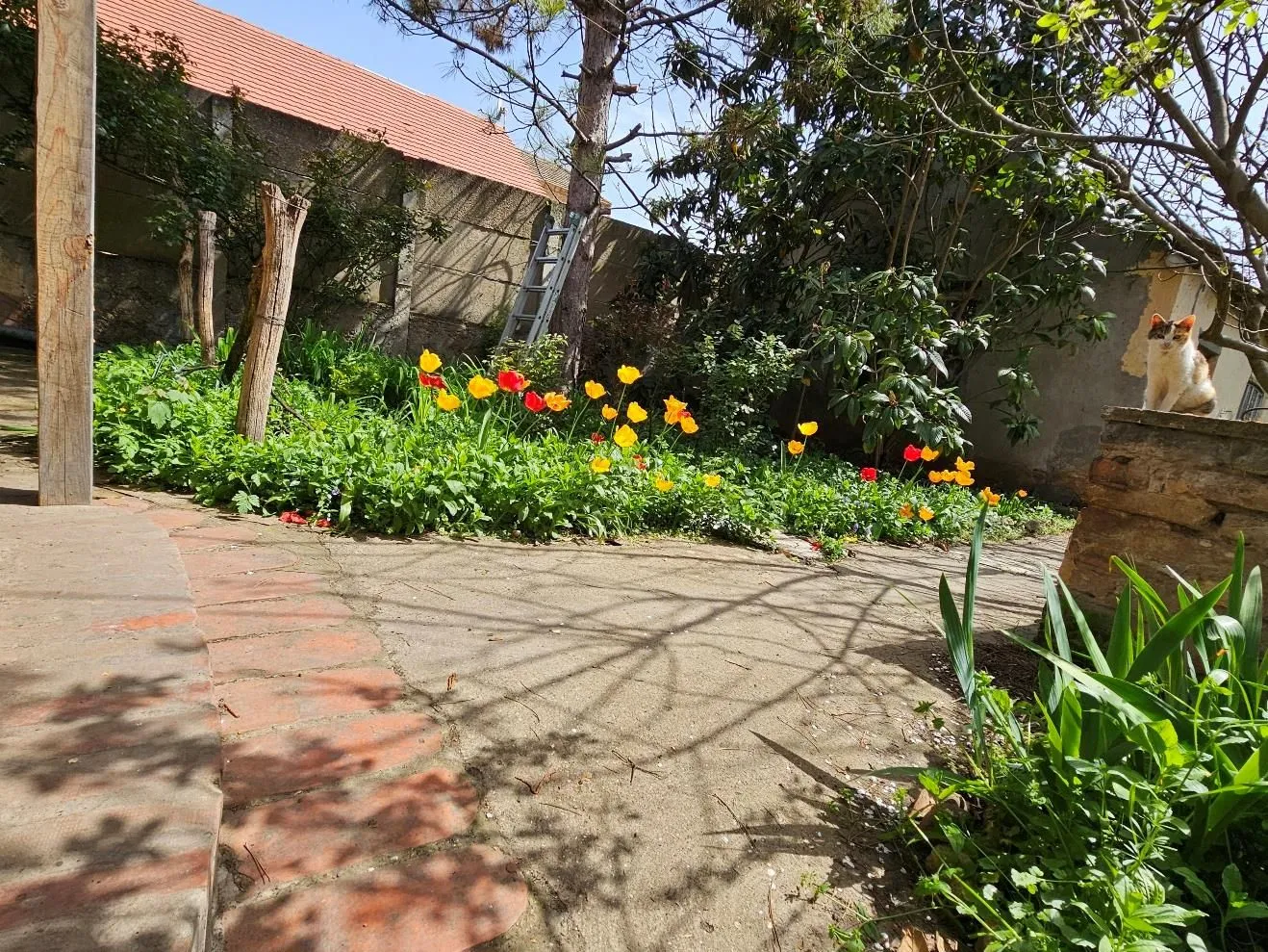 Prodaja, kuća, 163m², Stara Pazova, Srbija