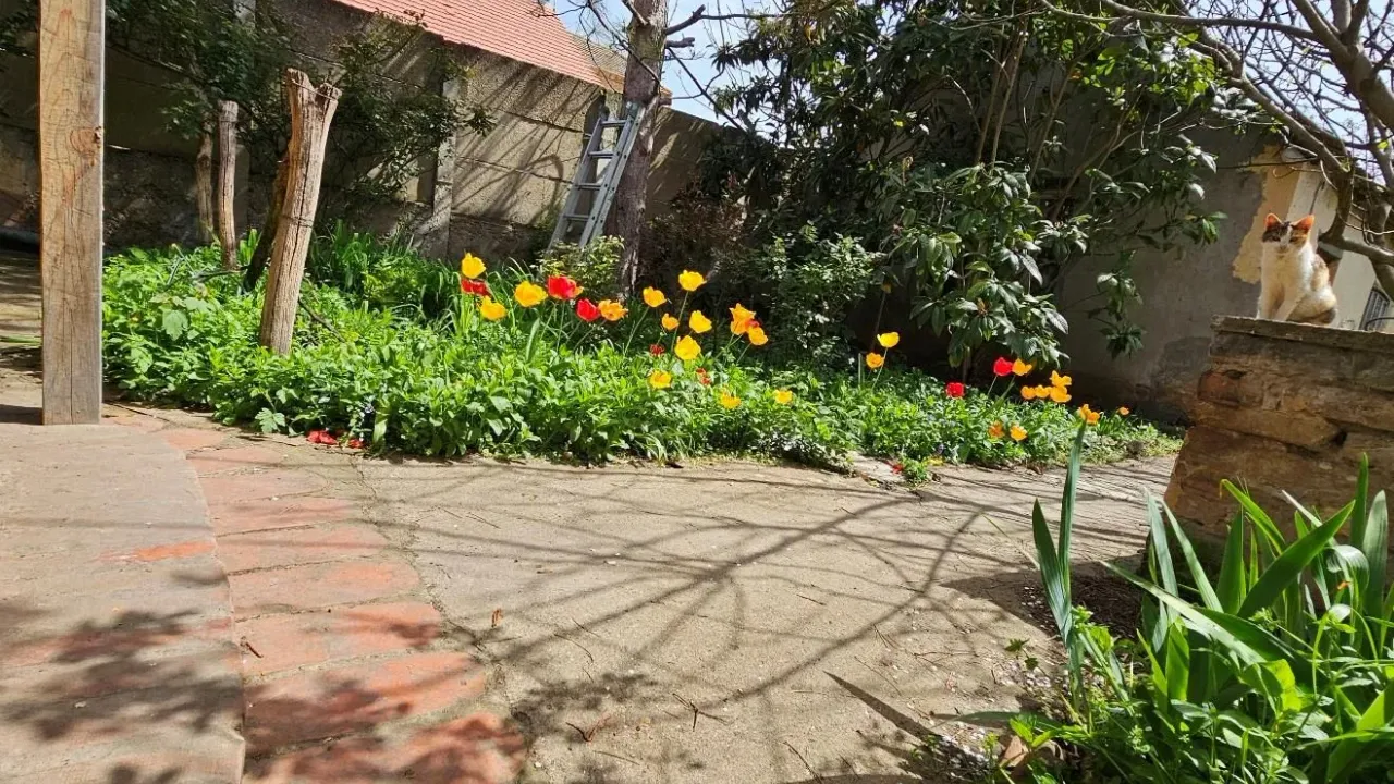 Prodaja, kuća, 163m², Stara Pazova, Srbija