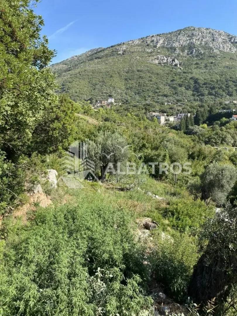 Prodaja, plac, 8000m², Šušanj, Bar