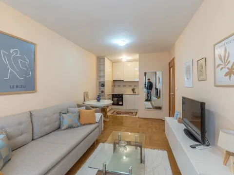 Rent, one bedroom apartment, 40m², Stari Aerodrom, Podgorica - image 2