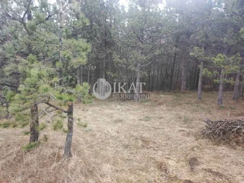 Sale, land lot, Divčibare, Valjevo - image 4