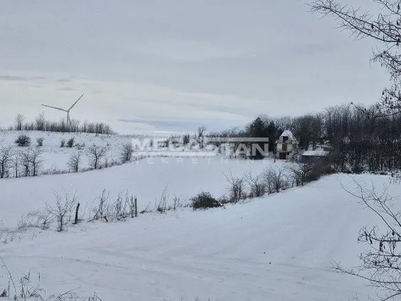 Prodaja, plac, 10700m², Alibunar, Srbija