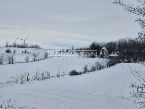 Prodaja, plac, 10700m², Alibunar, Srbija - image 2